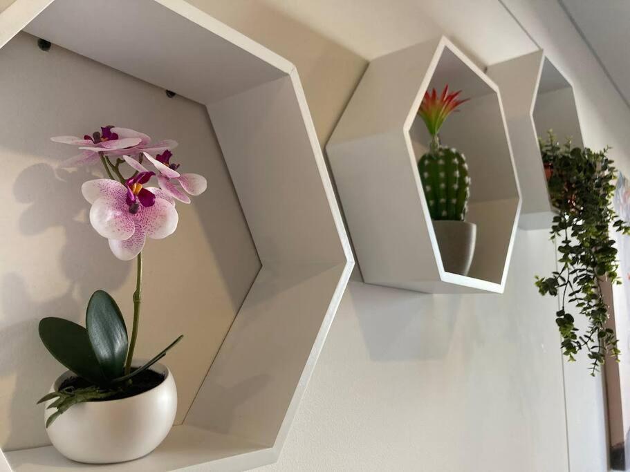 Acogedor Loft En Centro Internacional De Bogota Appartement Buitenkant foto